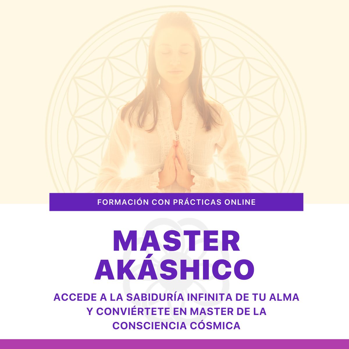 Registros akashicos - Master online